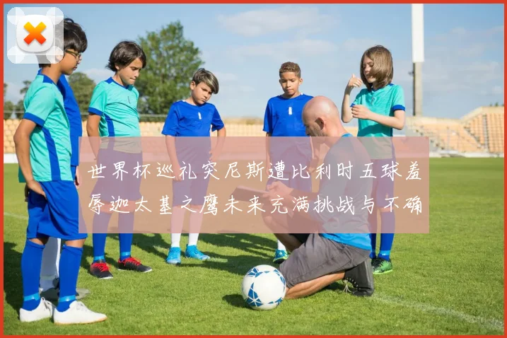 世界杯巡礼突尼斯遭比利时五球羞辱迦太基之鹰未来充满挑战与不确定性
